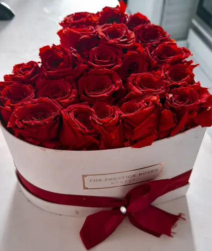 Arranjo de Rosas Vermelhas Eternas - The Prestige Roses 