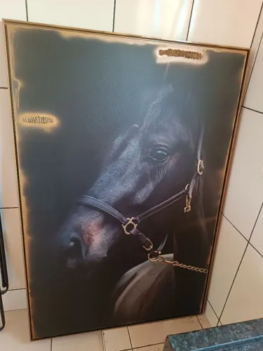 Quadro decoração Cavalo