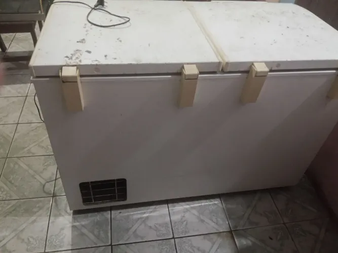 Freezer Electrolux H400