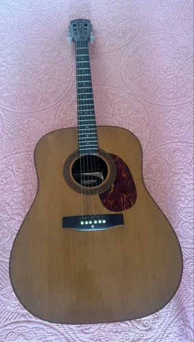 Violão Gianinni Folk awgs 7 - ano 1980 
