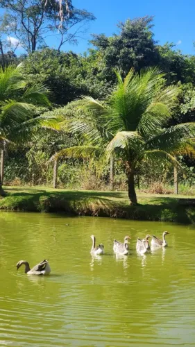 Chácara / Sítio / Fazenda 48.400m² Residencial Triunfo Goianira Goiás