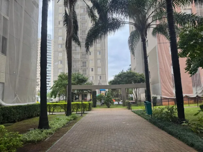 Apartamento para venda em Cambuci com 3 quartos, sendo 1 suíte, 61m²