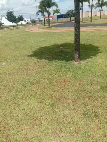 Jardineiro