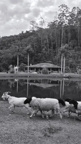 Vaga CASAL CASEIRO (apenas casal).