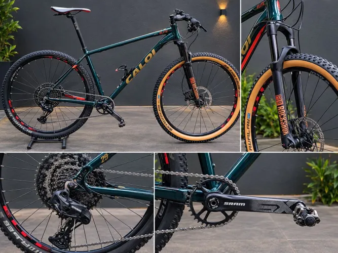 Bicicleta aro 29
