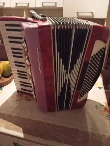 Sanfona acordeon 96 baixos