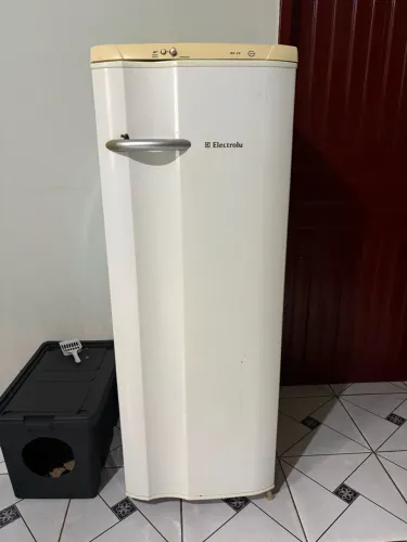 Electrolux RE 29 (linha Super com Degelo Prático).