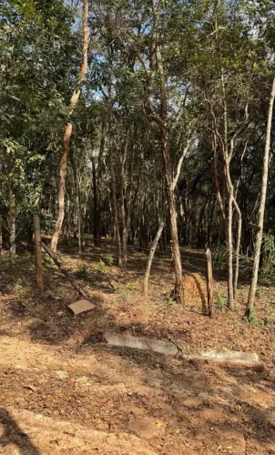 VENDO LOTES COM PREÇO IMPERDÍVEL (LEIA A DESCRIÇÃO)