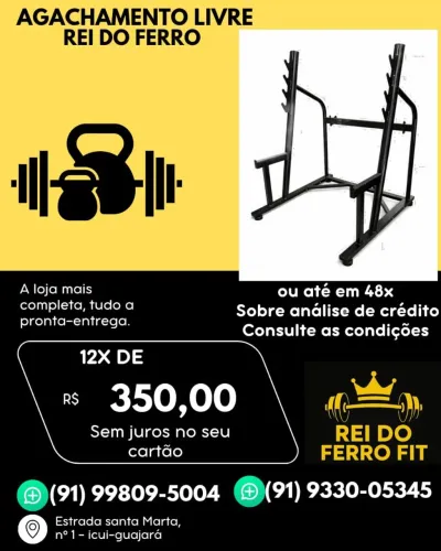 Agachamento livre