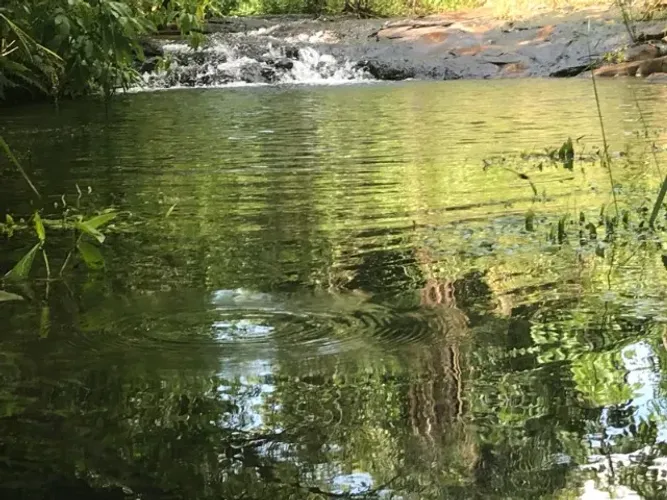 sítio de 10,5 hectares a 2,5 km de BANDEIRANTES/MS, rica em agua , pastagem e natureza
