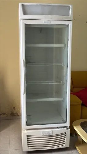 Freezer vertical Fricon