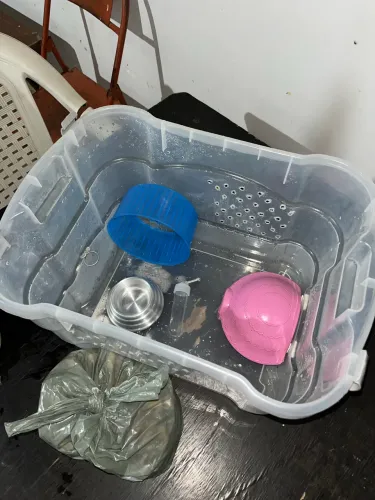 Casinha para Hamster