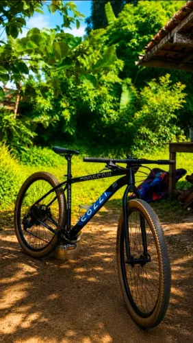 Bike de mtb