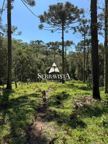 Terreno para chácara com riacho - 20.000 m2