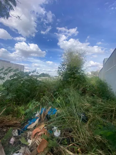 Terreno  desmenbrado para Venda no bairro Santa teresinha regiao do matao (Nova Veneza), l