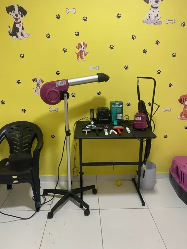 Vendo banho e tosa completo 