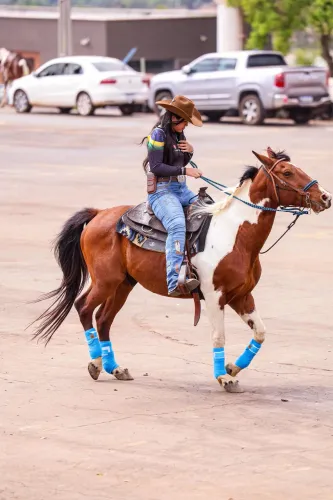 Cavalo a venda