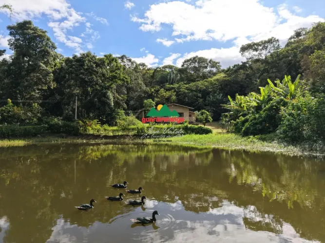 Sítio de 12,5 ha, com casa sede e casa de funcionários, com lago perene e muitas
