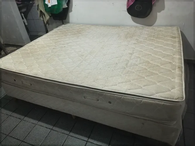 Cama