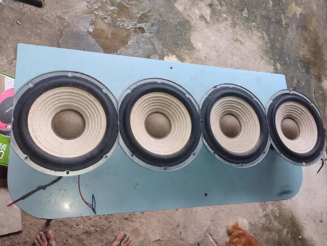 Alto Falante Sony 150w Usado