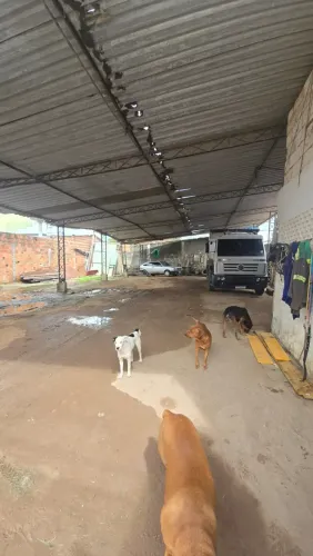 Terreno na Serraria