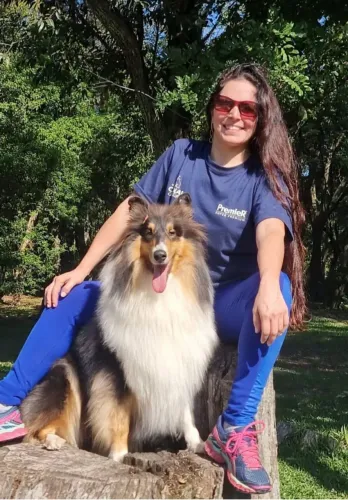 Collie filhotes de alto padrão no Rio Grande do Sul
