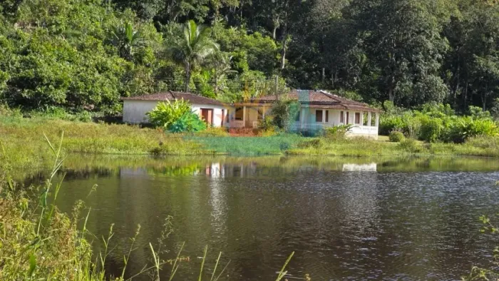 Vendo fazenda de produção de cacau no sul da Bahia