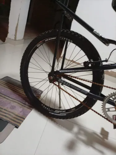 Bicicleta