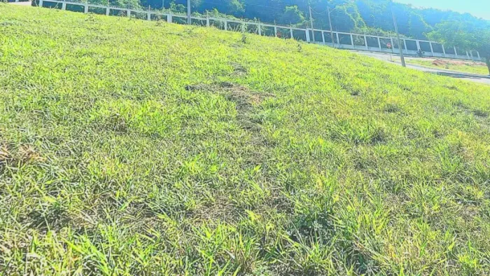 Lote Villa Dumont