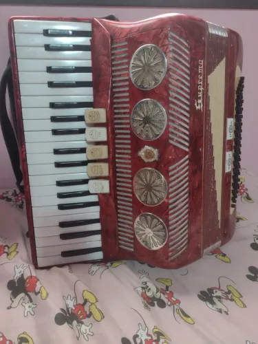 Acordeon 80 baixos