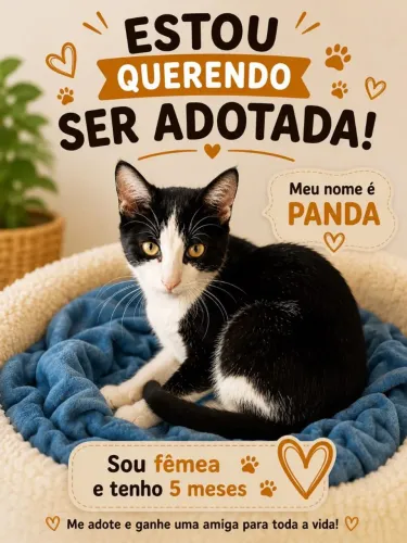 Gatinho 