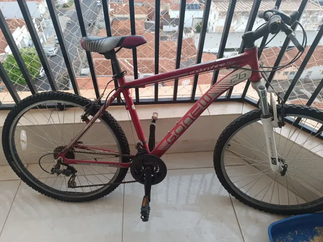 Bicicleta