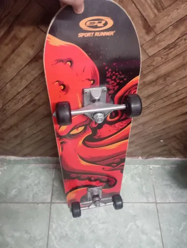 Skate retirada na zona Norte
