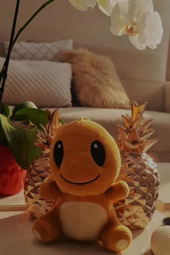 Pelúcia Musical Charmander Ditto Pokémon - Funcionando 