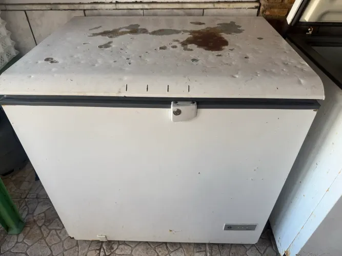 Freezer horizontal