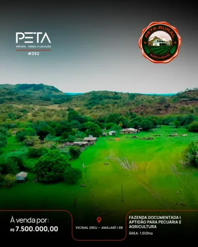 Fazenda à Venda, Ereu - Amajari