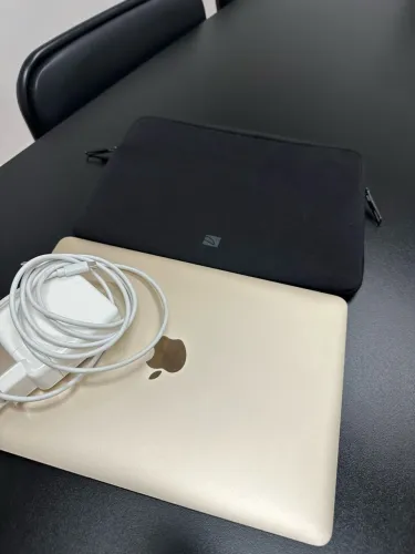MacBook Retina 12? ? Early 2015 macOS Big Sur