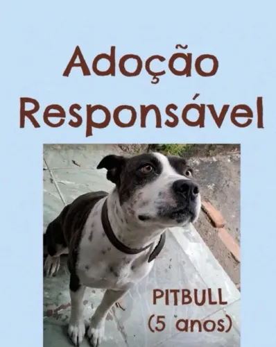 ADOÇÃO RESPONSÁVEL