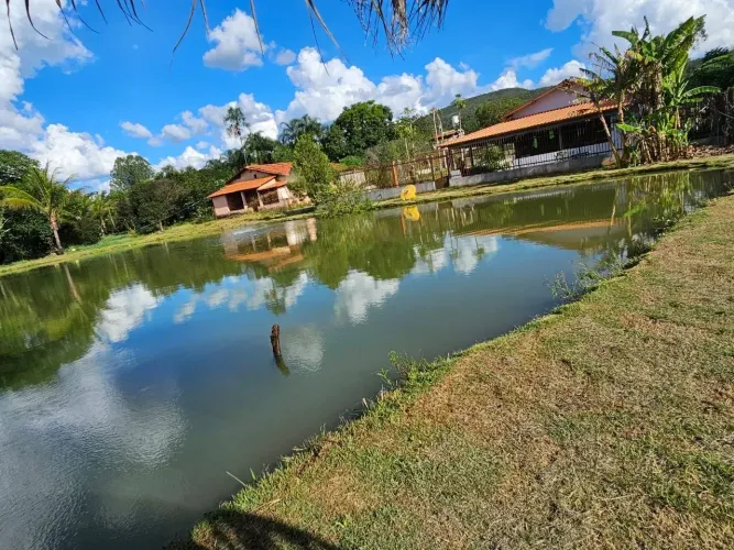 Fazenda 5.5 Alqueires