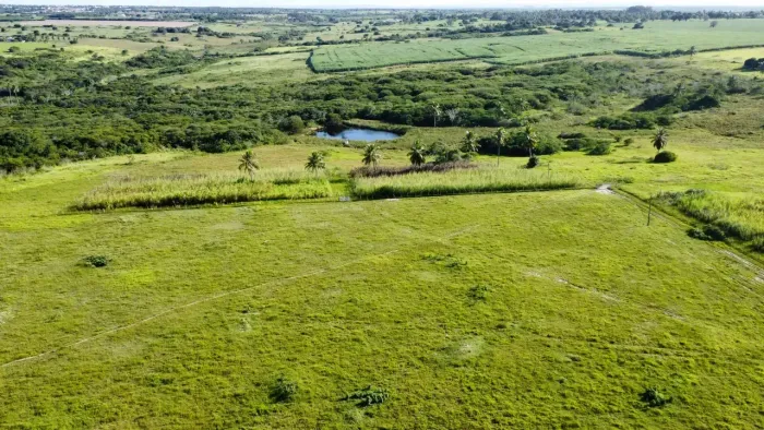 Excelente fazenda com 80.5 hectares em Monte Alegre