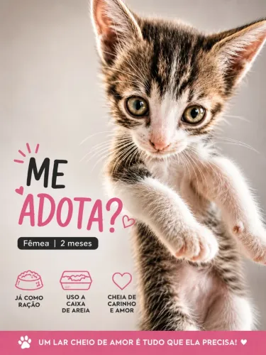 Duas fêmeas para adoção 