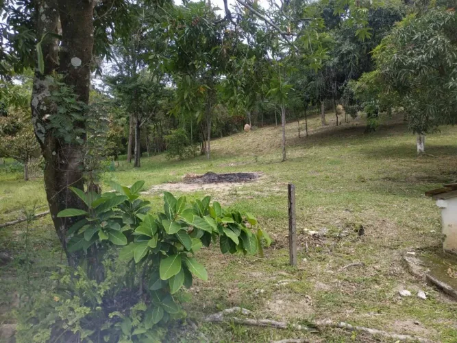 Sítio à venda, 3 quartos, 1 suíte, Bela Vista - Vespasiano/MG