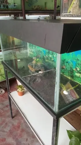 Aquário 120L completo