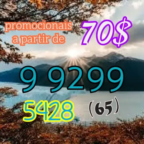 montador de móveis  Entrar em contato pelo telefone
