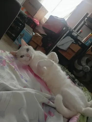 Doação 