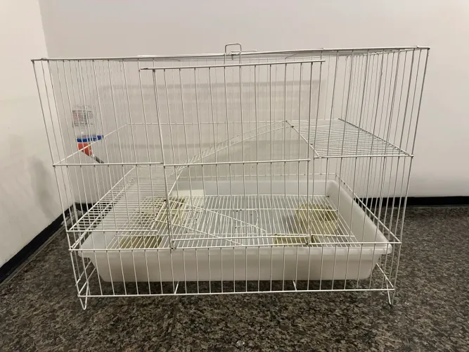 gaiola para roedor