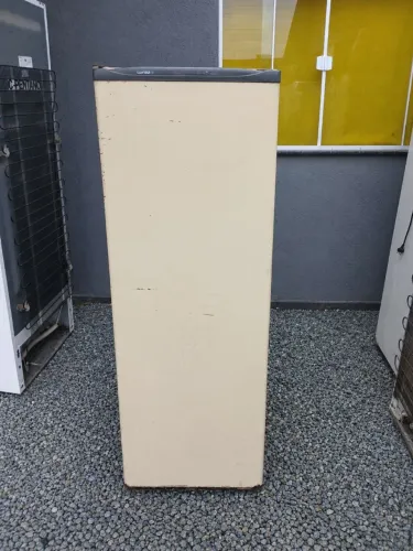 Freezer Vertical Consul