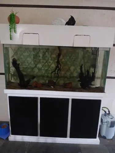 Aquário completo 245L