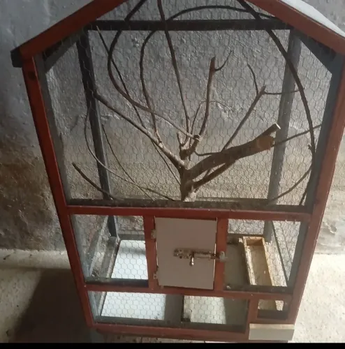 Gaiola para pássaros