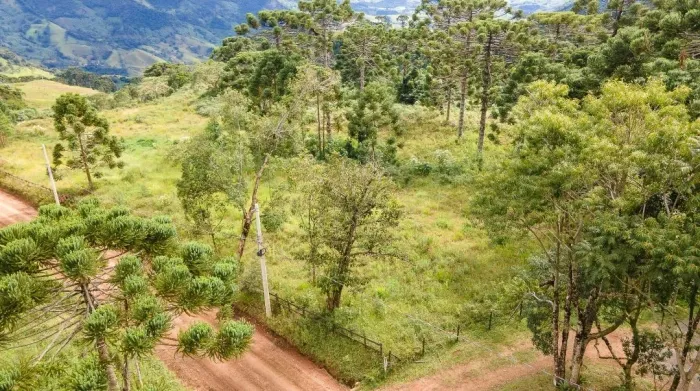 Terreno 20.000m² Caminho da Fé Luminosa MG | Nascente | Pedra do Baú
